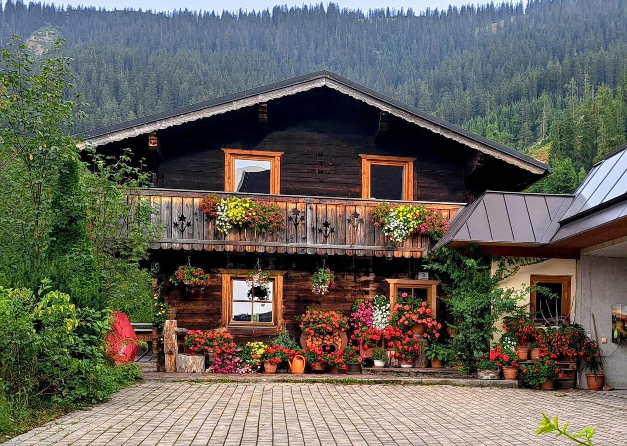 Gsenghof Villa Filzmoos Exterior photo
